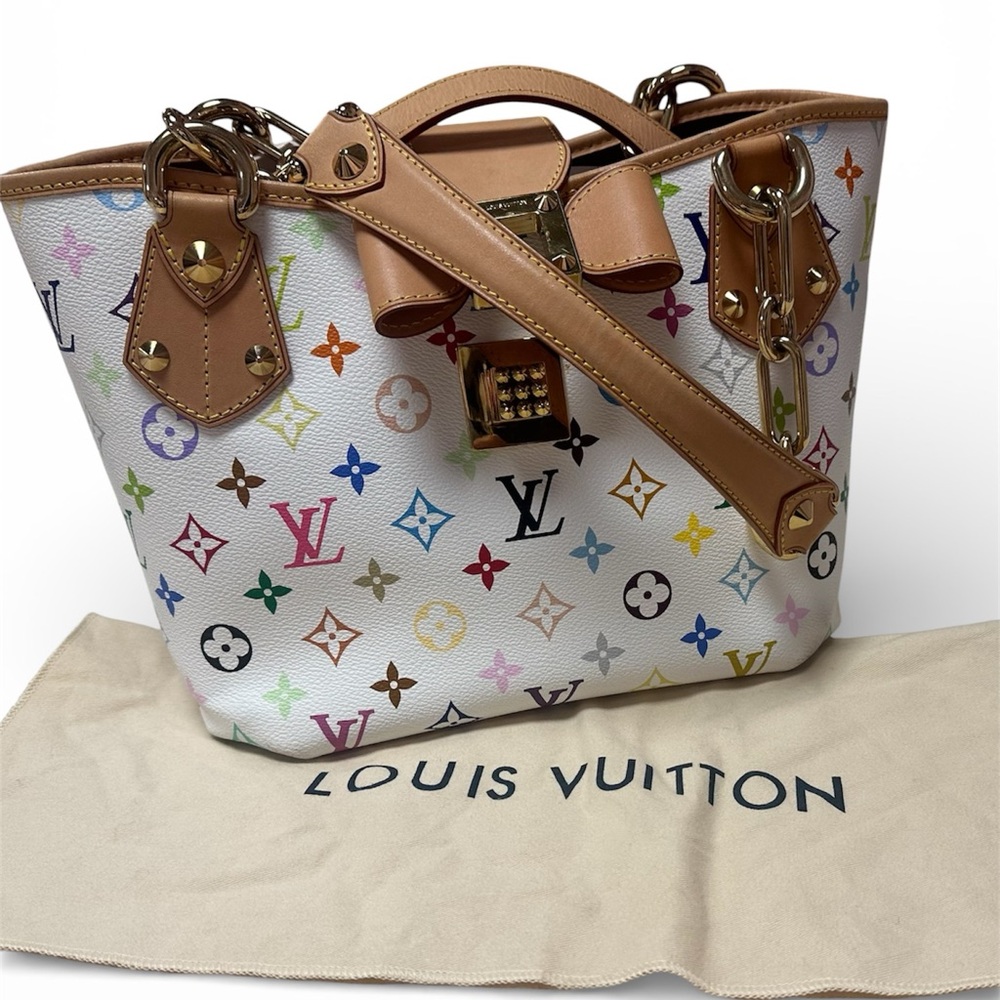 Louis Vuitton Multicolor Purse